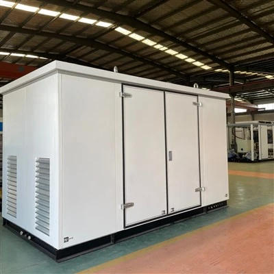 CNG Mobile Daughter Station​